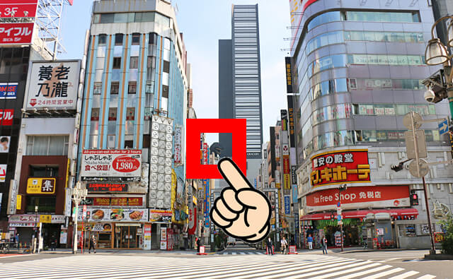 「歌舞伎町」交差点の奥を見る